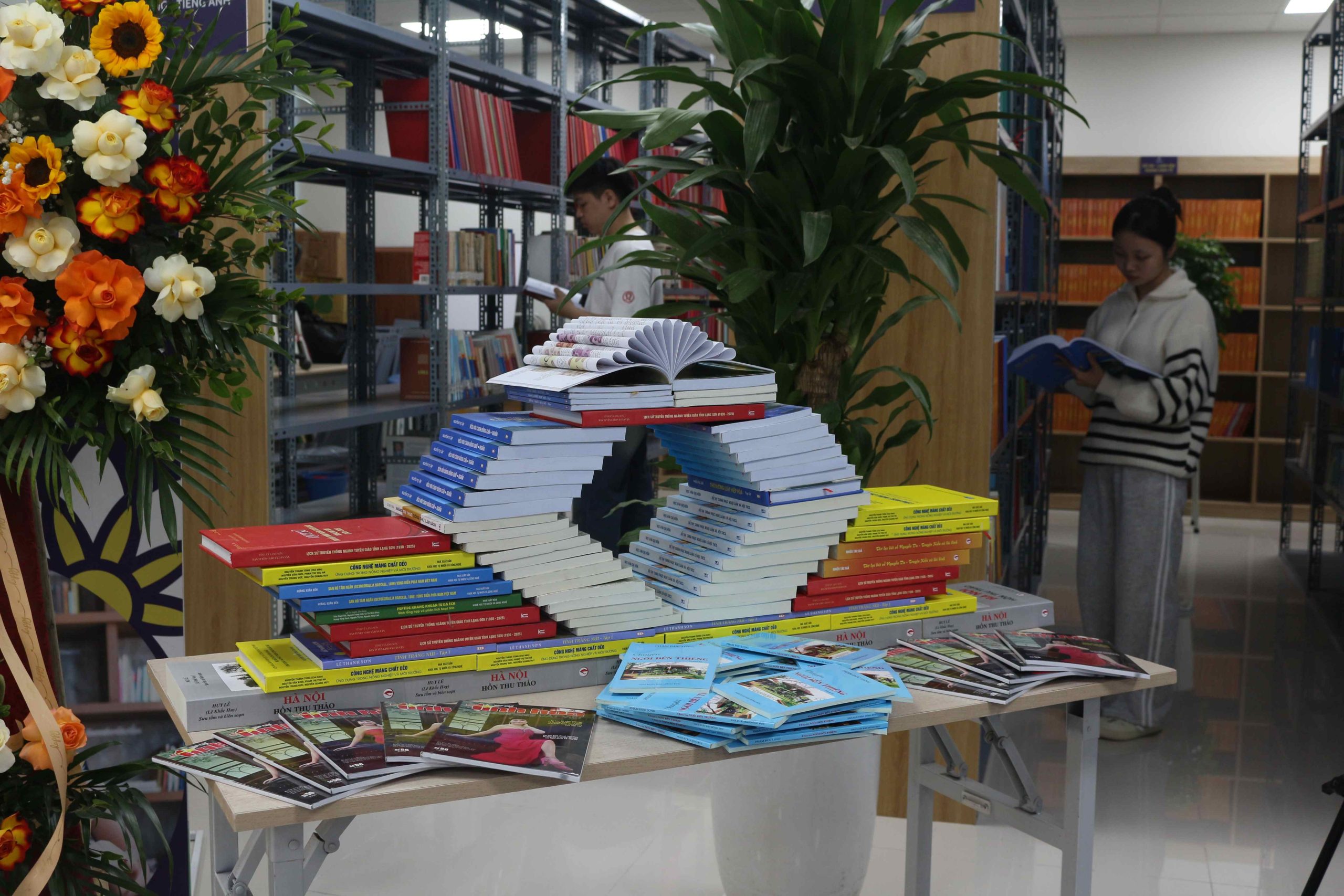 IMG 5668 11zon scaled